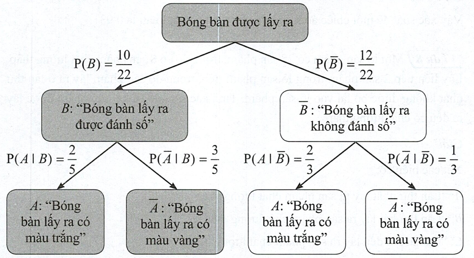Hình minh họa câu hỏi